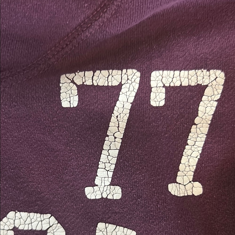 American Eagle Purple Long Sleeve Hoodie - Picture 3 of 9
